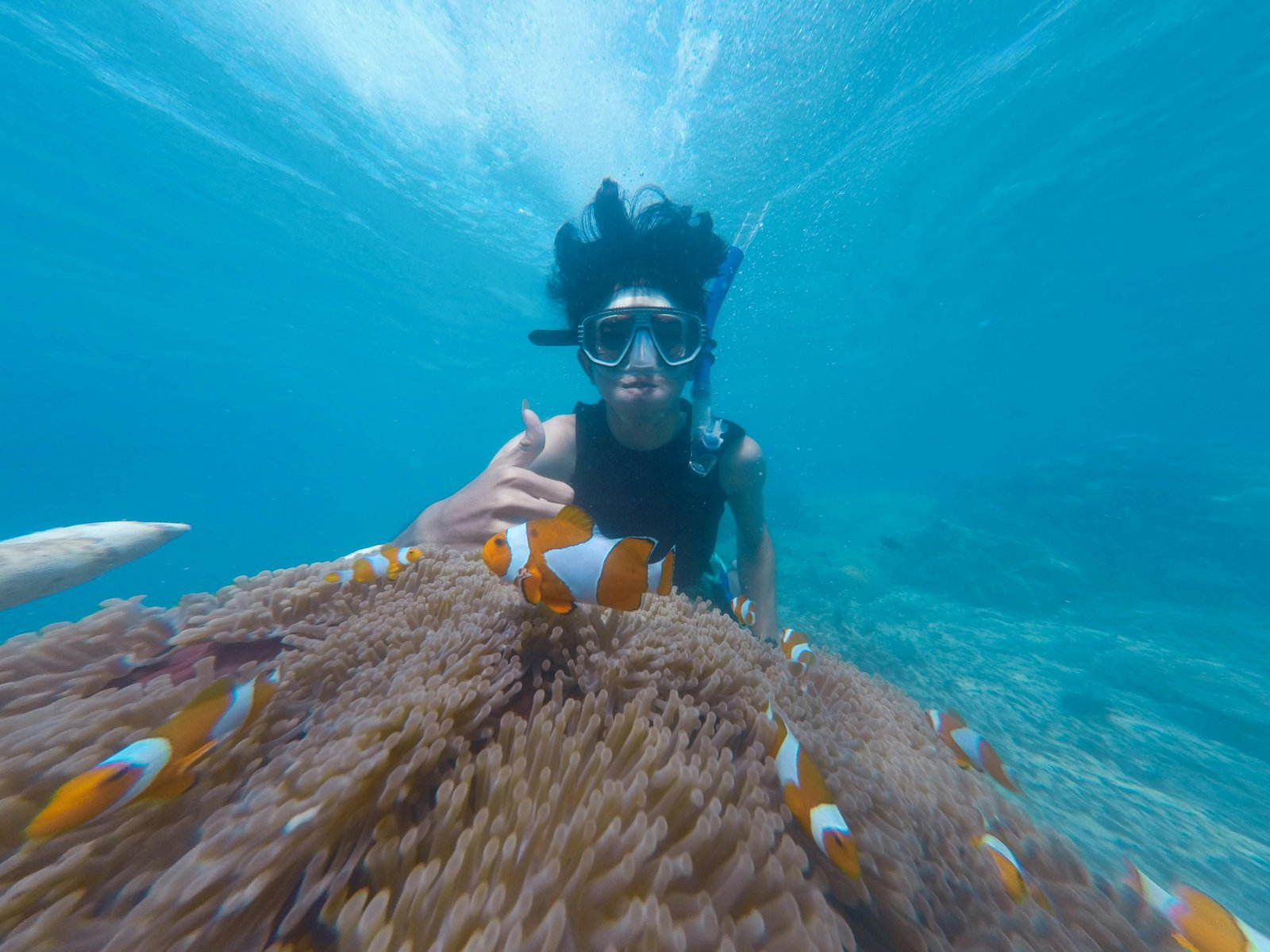 Snorkeling Adventure
